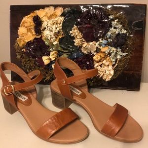 Steve Madden April Sandal